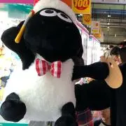 たかのさんの画像