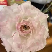 ももっこ*:..断捨離中. .:*の画像