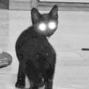黒明