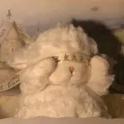 モフ
