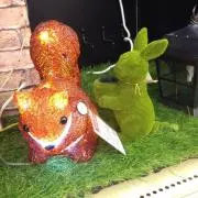 あいの画像
