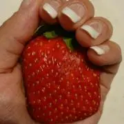 yumiの画像