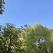 ♡配送日厳守します♡の画像