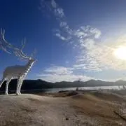 レタスの画像