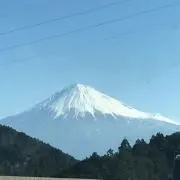 ふじの画像