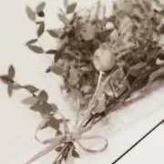 nnnの画像