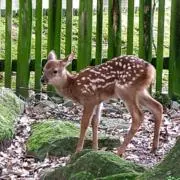 なつ⭐︎断捨離中の画像