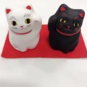 ネコ
