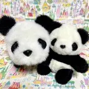セノミチの画像