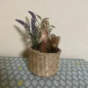 suikatennの画像