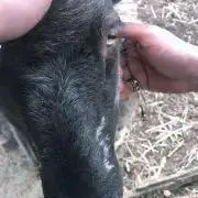 激安断捨離中