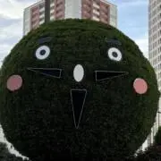 元元気気