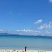 キュー太