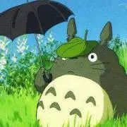 きんちゃんの画像