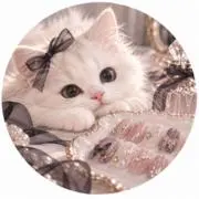 さおり。の画像