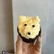 まき