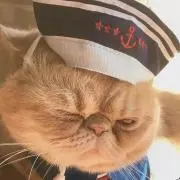 あみぃの画像