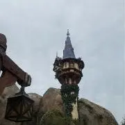 Dの画像