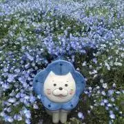 りんごの画像