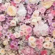 ♡ひめ♡の画像
