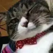 ようママ　プロフィール確認してくださいの画像