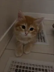たろう