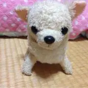 はなはな