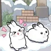 Nyacaの画像