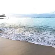 Amy_の画像