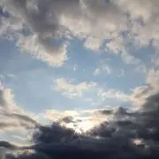 shunの画像
