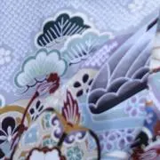 ぼーちゃんの画像