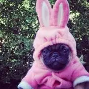 ミカの画像