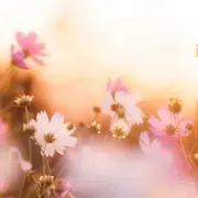 mocomama『年内お休みです』