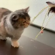 なほ
