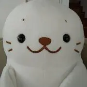 しろたんの画像