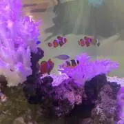 もやこ※プロフ一読下さいの画像