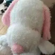 スヌスヌの画像