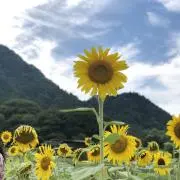 R.の画像