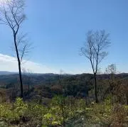 emiの画像