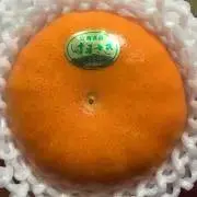 ねこむの画像