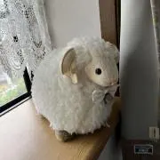 べーの画像