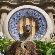 カンスの画像