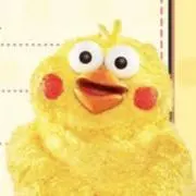 ポコンちゃんの画像