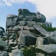 シノンの画像