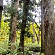 ToDayの画像
