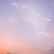 miyaの画像