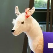 miiiii★の画像