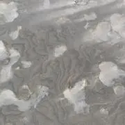 iiiiiの画像