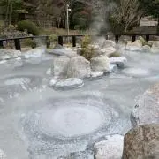 rinaの画像