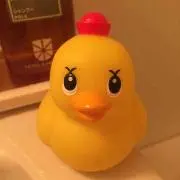 りいの画像